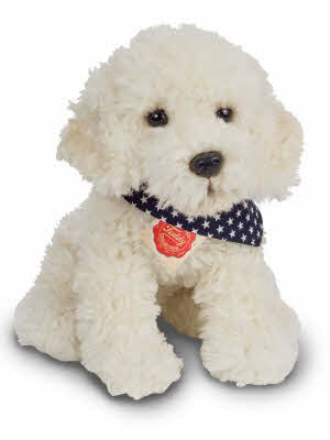 Teddy Hermann Labradoodle | 919391 | 919391